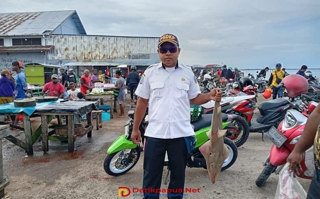 KET: Petugas PSDKP Sorong Amankan Ikan Hidup Pari yang dilindungi di Pelabuhan Pendaratan dan Pelelangan Ikan (PPI) Klaligi, Kota Sorong, Papua Barat Daya, pada Rabu (12/2/2025)/Dony K