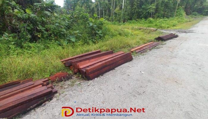 Diduga Angkut Kayu Ilegal di Malam Hari, Dinas Kehutanan Diminta Turun Tangan