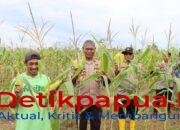 Polres Sorong Selatan Laksanakan Panen Raya Jagung Serentak Kuartal III