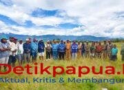 Wagub Papua Pegunungan Ones Pahabol Tinjau Lokasi Pencetakan Sawah dan Panen Raya di Distrik Wita Waya