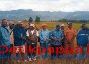 Wakil Gubernur Ones Pahabol Tinjau Lahan Sawah di Wita-Waya, Masyarakat Beri Dukungan Penuh