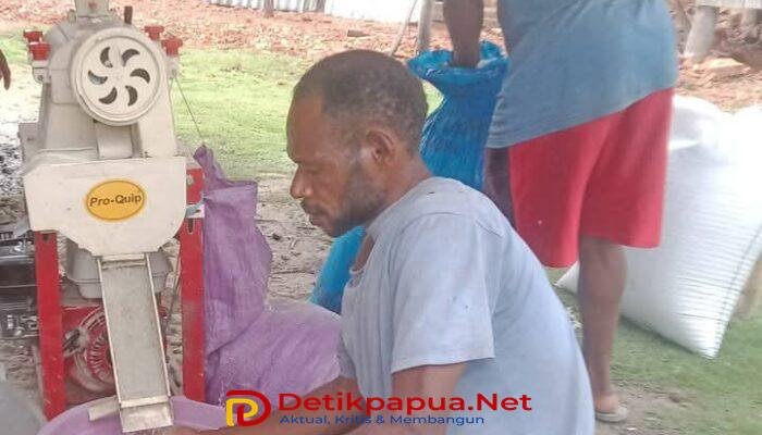 Jejak Didimus Tapyor dalam Membangun Sentra Pertanian Lima Distrik di Perbatasan Indonesia—PNG