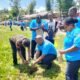 Seribu Pohon untuk Papua: Temu Raya PAM GKI Tutup dengan Seruan Merawat Tanah Ciptaan Tuhan