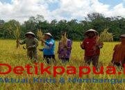 Pemkab Raja Ampat Serap Aspirasi Petani Salawati Tengah, Perkuat Komitmen Wujudkan Ketahanan Pangan Daerah