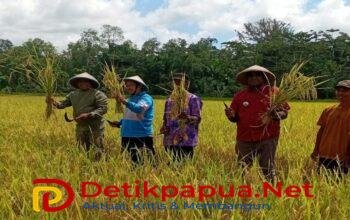 Pemkab Raja Ampat Serap Aspirasi Petani Salawati Tengah, Perkuat Komitmen Wujudkan Ketahanan Pangan Daerah