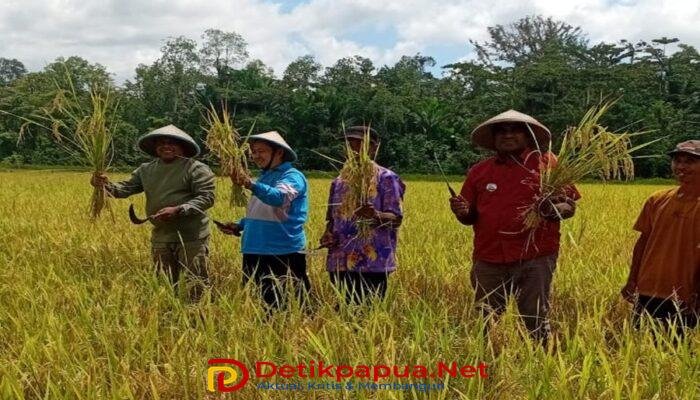 Pemkab Raja Ampat Serap Aspirasi Petani Salawati Tengah, Perkuat Komitmen Wujudkan Ketahanan Pangan Daerah