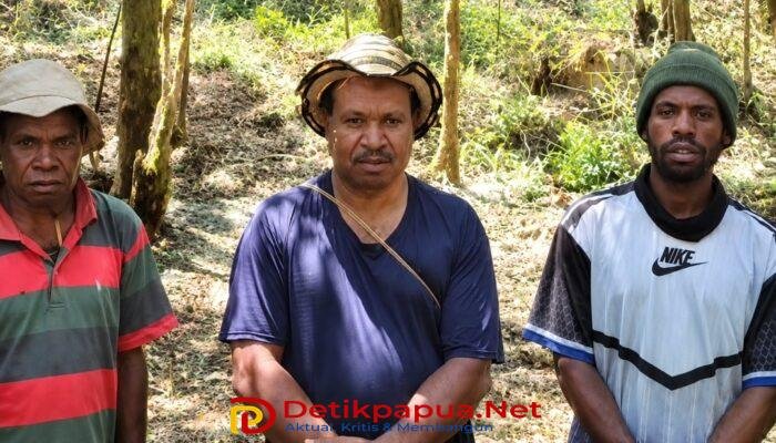 Liberius Mabel: Sarjana Jangan Malu ke Kebun, Pertanian Bisa Hidupi Generasi ke Generasi