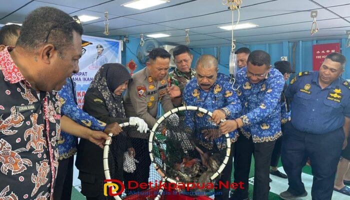 Ekspor Perdana Ikan Kerapu Hidup Dimulai dari Raja Ampat, Pemkab Dorong Pendapatan Nelayan dan PAD